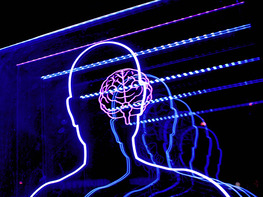 The Ultimate Memory Mastery Bundle