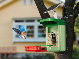 BirdHi Ultra Solar Powered Smart Bird Feeder with Camera